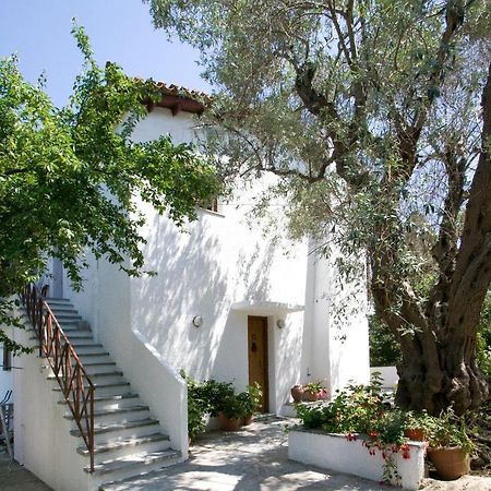 Villas Alexandra Skiathos Platanias (Skiathos) Exterior foto