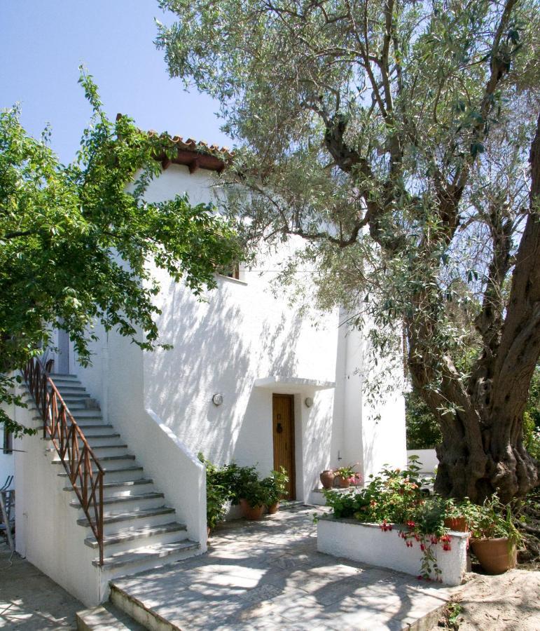 Villas Alexandra Skiathos Platanias (Skiathos) Exterior foto